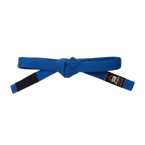 MMA RASH GUARDS design view 2